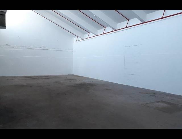 284M² WAREHOUSE RENTED IN MAITLAND
